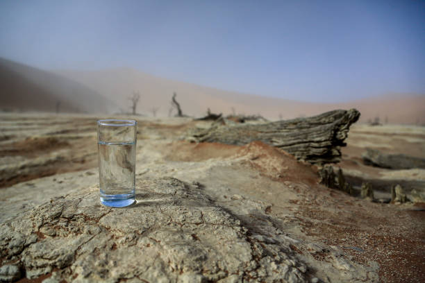 Water in the Desert