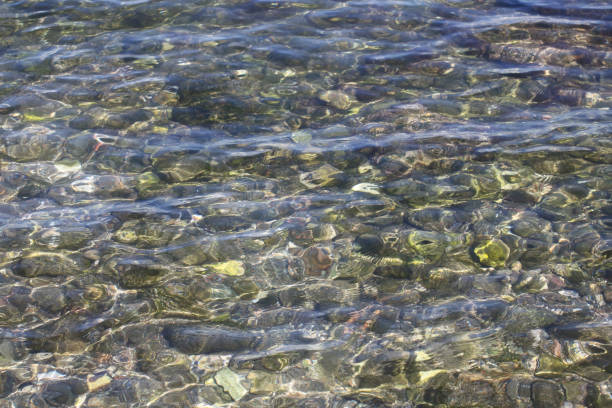 Transparent sea water at pebble beach