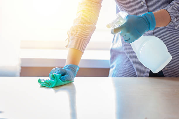 istock Woman in protective gloves wiping dust using a spray and a duster while cleaning her house. 1140280516