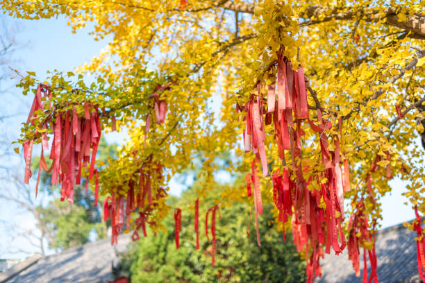 Yunding Shicheng, Sichuan province, China - Nov 29, 2015 : Red ribbons with wish writing hanging on trees with yellow leaves near a buddhist temple