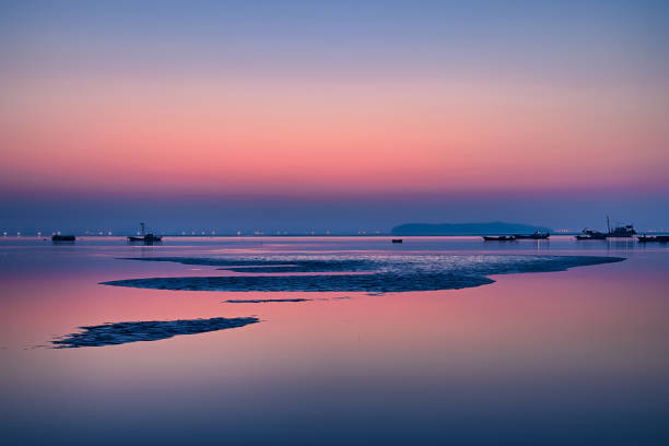 Tidal Dawn