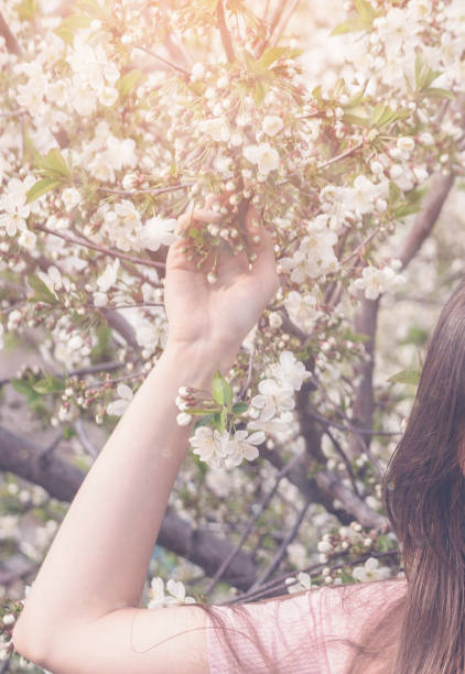 istock Beautiful girl with spring cherry flowers, sunshine backlit. 1140280966