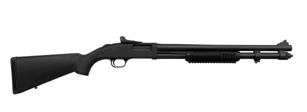 istock Shotgun isolated on white background 1140282216