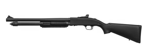 istock Shotgun isolated on white background 1140282892