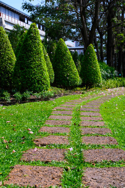 istock Pathway stones on green grass in the garden 1140283310