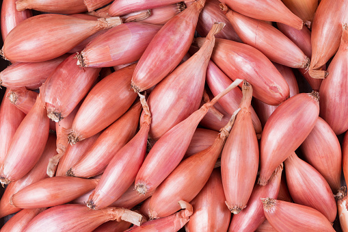 Onion shallot bulbs food background. Purple bows. Top view