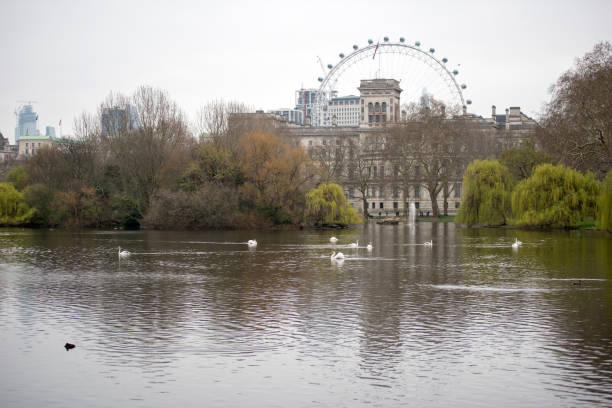istock Lake in Saint James Park, London 1140285267