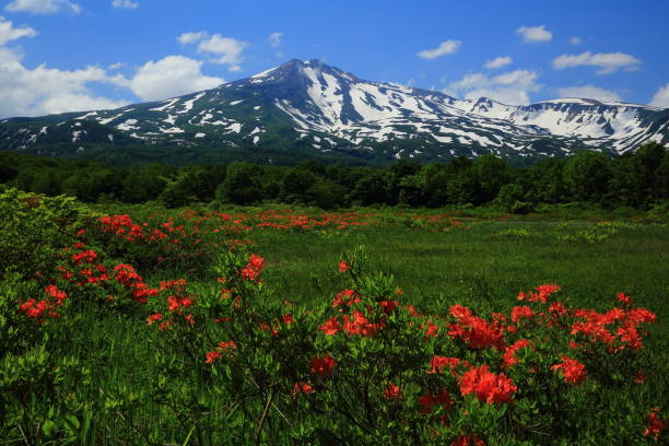 istock Chokaizan in early summer 1140285380