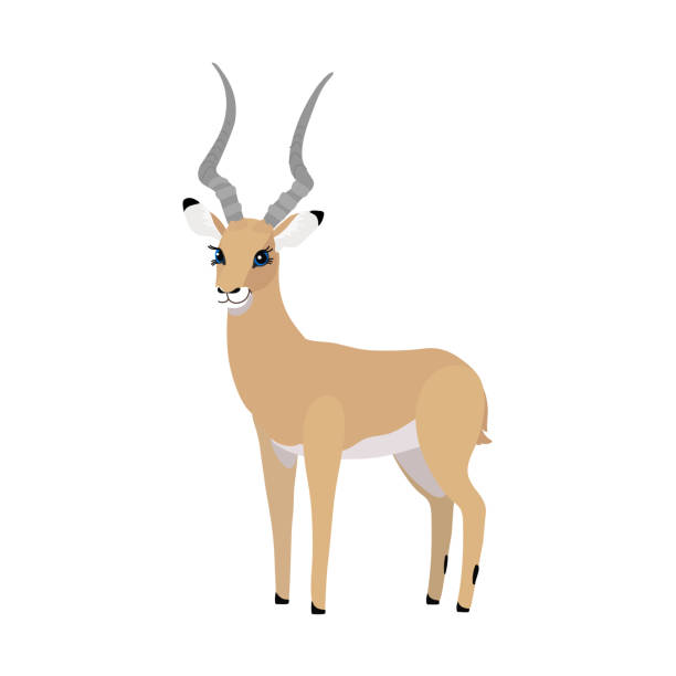 illustrazioni stock, clip art, cartoni animati e icone di tendenza di vettore piatto cartone animato animale clipart - kruger national park illustrations