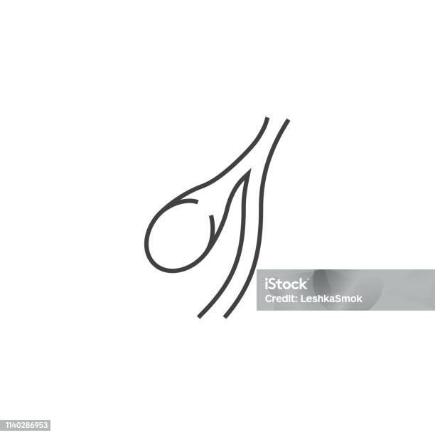 Gallbladder Vector Line Icons Stock Illustration - Download Image Now - Anatomy, Biology, Bladder