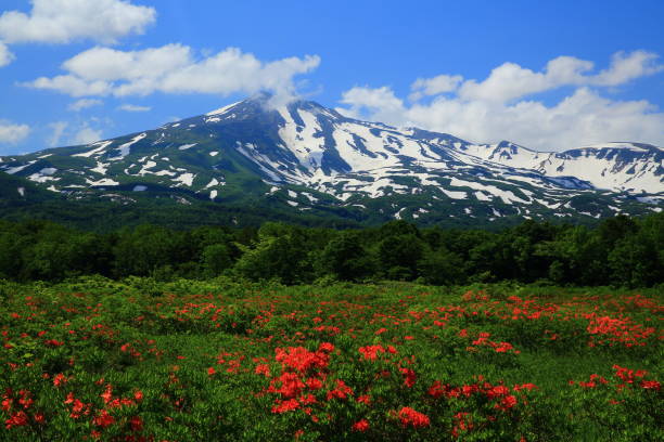 istock Chokaizan in early summer 1140288608