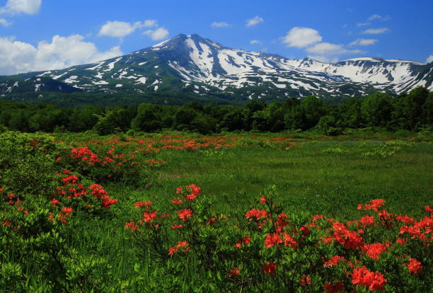 istock Chokaizan in early summer 1140289617