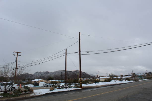 istock WHITE WINTER - JOSHUA TREE - 022219 I 1140289627