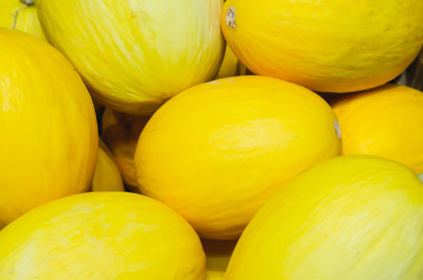 istock yellow melons stacked for retail sale 1140290672