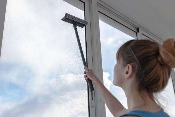 istock The girl washes the window with a special device. 1140290946