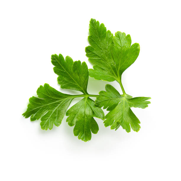 istock Bunch leaves parsley isolated over white background 1140295192