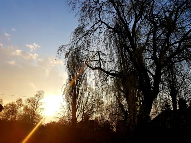 istock Sunrise over in Preston 1140296604