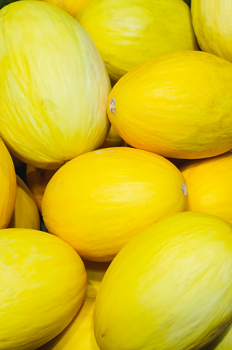 yellow melons stacked for retail sale in a market