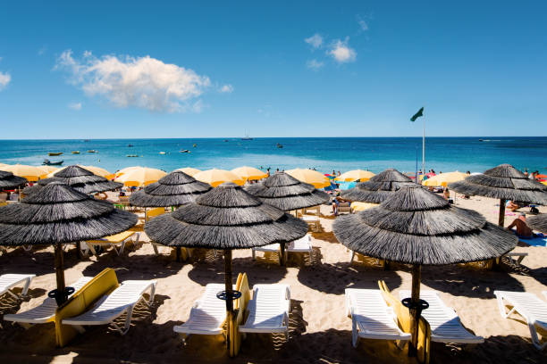istock umbrellas on the sunny beach 1140297973