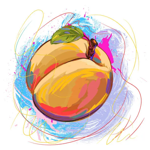 Vector illustration of Tasty Apricot Drawing