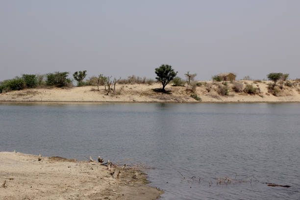istock Chutiari Lake Sindh 1140299186