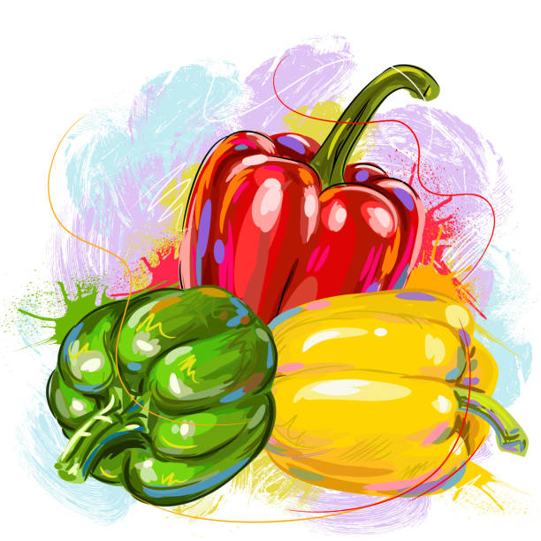 frische glockenfefferzeichnung - vegetable bell pepper green bell pepper pepper stock-grafiken, -clipart, -cartoons und -symbole