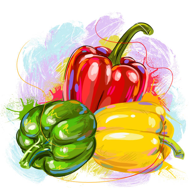 ilustrações de stock, clip art, desenhos animados e ícones de fresh bell peppers drawing - green bell pepper illustrations
