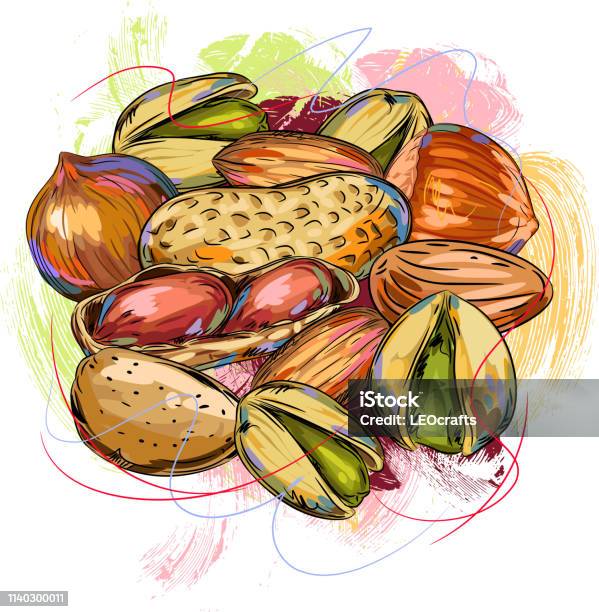 Tasty Nuts Drawing Stock Illustration - Download Image Now - Peanut - Food, Illustration, Nut - Food