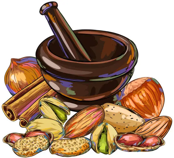 Vector illustration of Tasty Nuts and Mortar Drawing