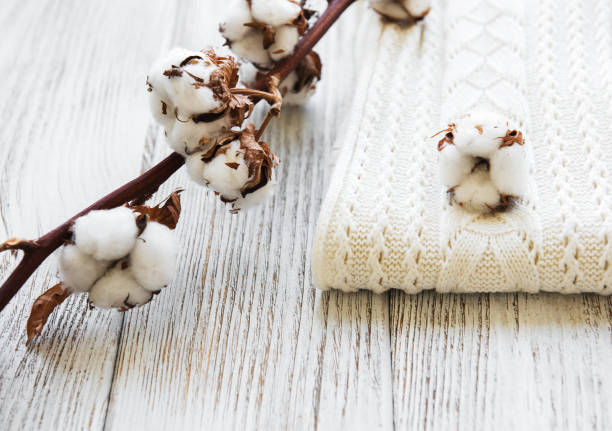 istock Cotton flowers and scarf 1140300059