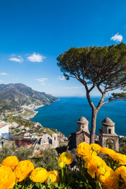 Stunning View on Amalfi Coast from Ravello Town, Italy Stunning View on Chiesa dell'Annunziata (Annunziata Church) with pine tree, photo taken in Ravello Town on Amalfi coast, Italy. ravello stock pictures, royalty-free photos & images