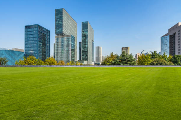 istock modern cityscape and skyline  from meadow in park 1140301460