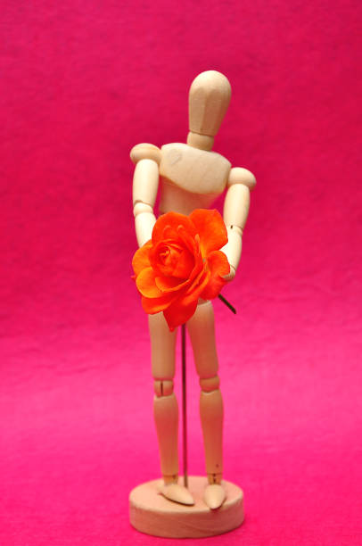 istock A wooden mannequin display with an orange rose with selective focus 1140303986