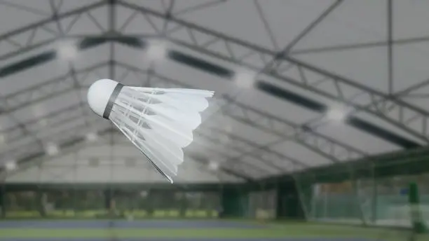 Badminton Shuttlecock freeze-frame with speed blur effect inside a pitch