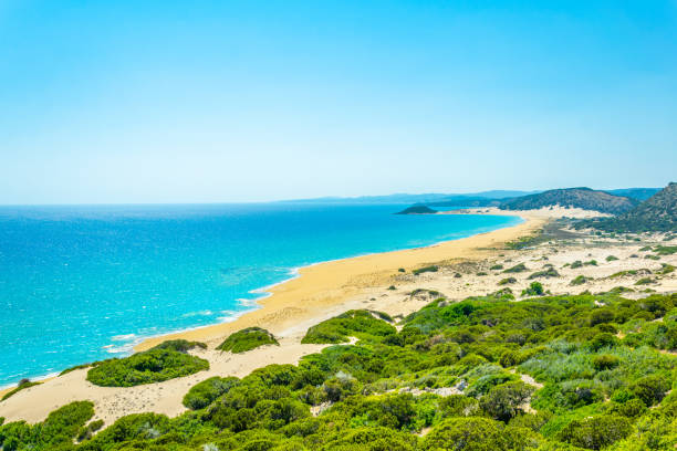 famosa spiaggia dorata situata alla fine della penisola di karpaz a cipro - karpas foto e immagini stock