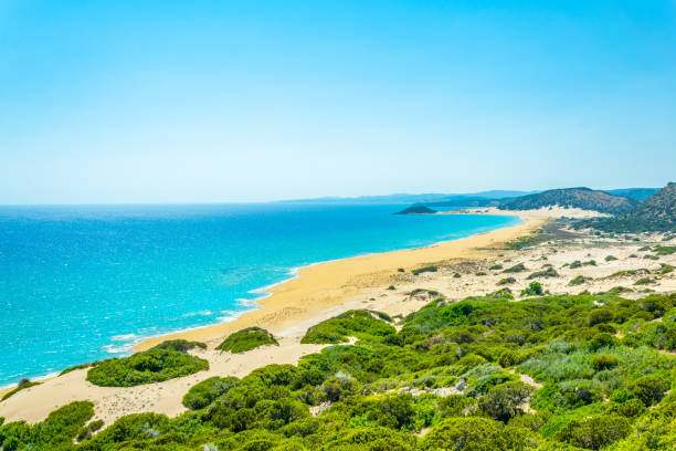 praia dourada famosa situada na extremidade da península de karpaz em chipre - karpas - fotografias e filmes do acervo