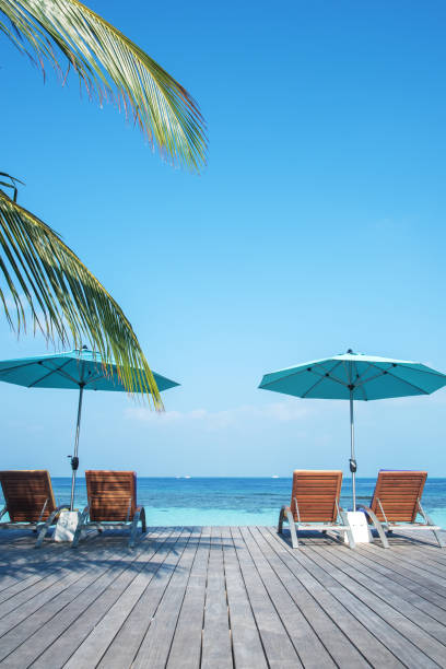 Enjoying Beach Holiday And Sunbathing Concept