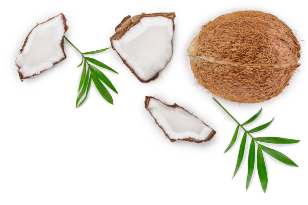 istock coconut with leaves isolated on white background with copy space for your text. Top view. Flat lay 1140313544