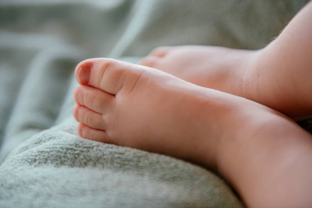 lindas piernas de bebé - baby baby blanket human foot towel fotografías e imágenes de stock