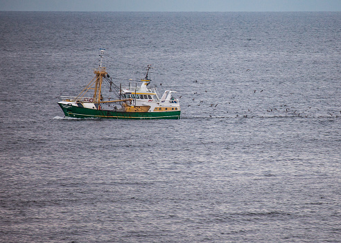 a green cutter with a flock of seagulls on the North Sea