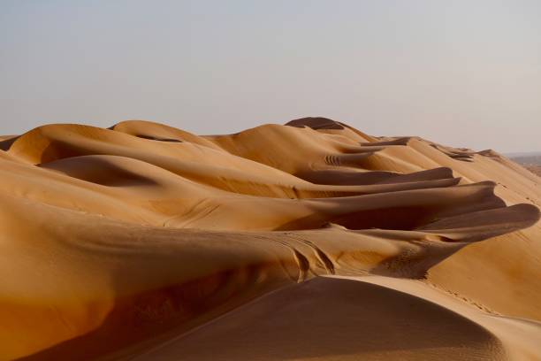 istock Sand Dune In Desert Against Clear Sky 1140320610