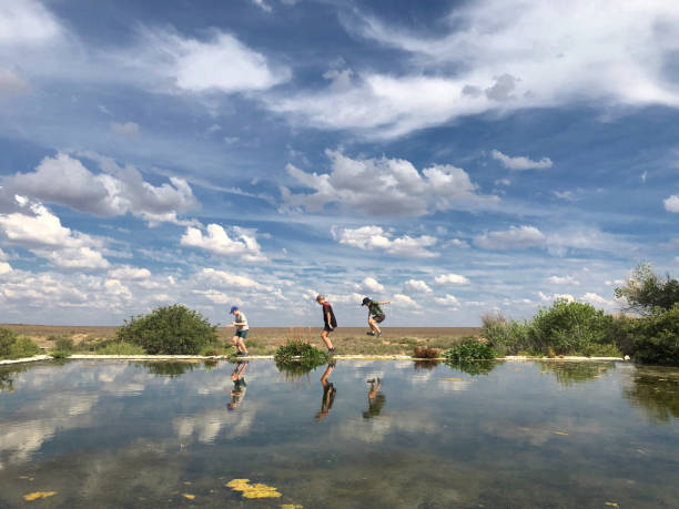 saltando sobre el agua - the karoo fotografías e imágenes de stock