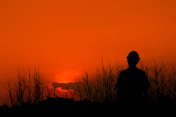Silie's silhouettes show joy. And successful silhouette concepts