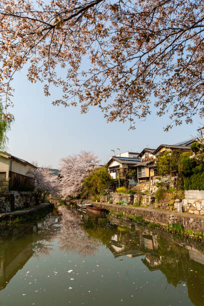 istock Omi Hachiman's shine in the moat 1140326856
