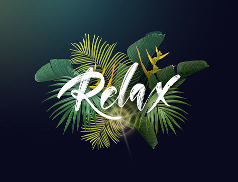 Summer tropical vector design with exotic green palm leaves, flowers and handlettering on the dark background.