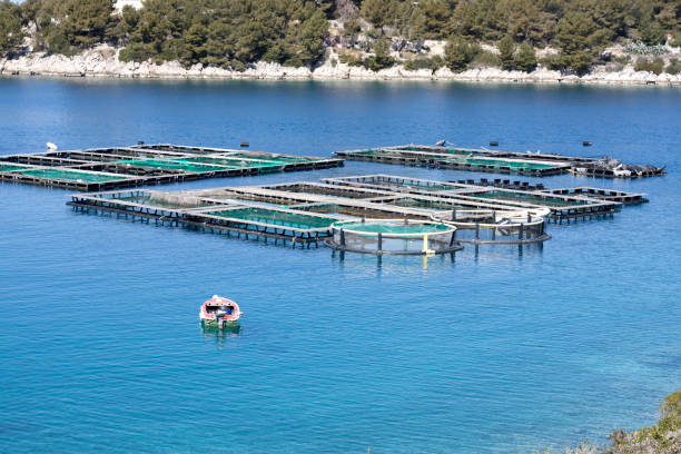 istock View of fish farm 1140333271
