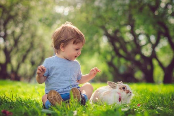 симпатичный маленький мальчик, играющий с кроликом на охоту пасхальное яйцо - rabbit child pets little boys стоковые фото и изображения