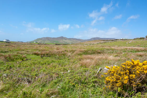 istock coastal scenery in Ireland 1140334761