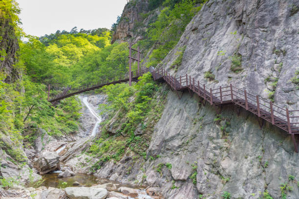 istock Seoraksan National Park 1140337445