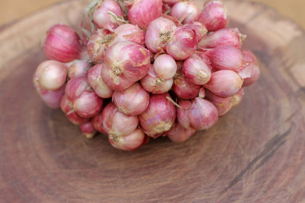 istock Shallots still on wood background 1140338666